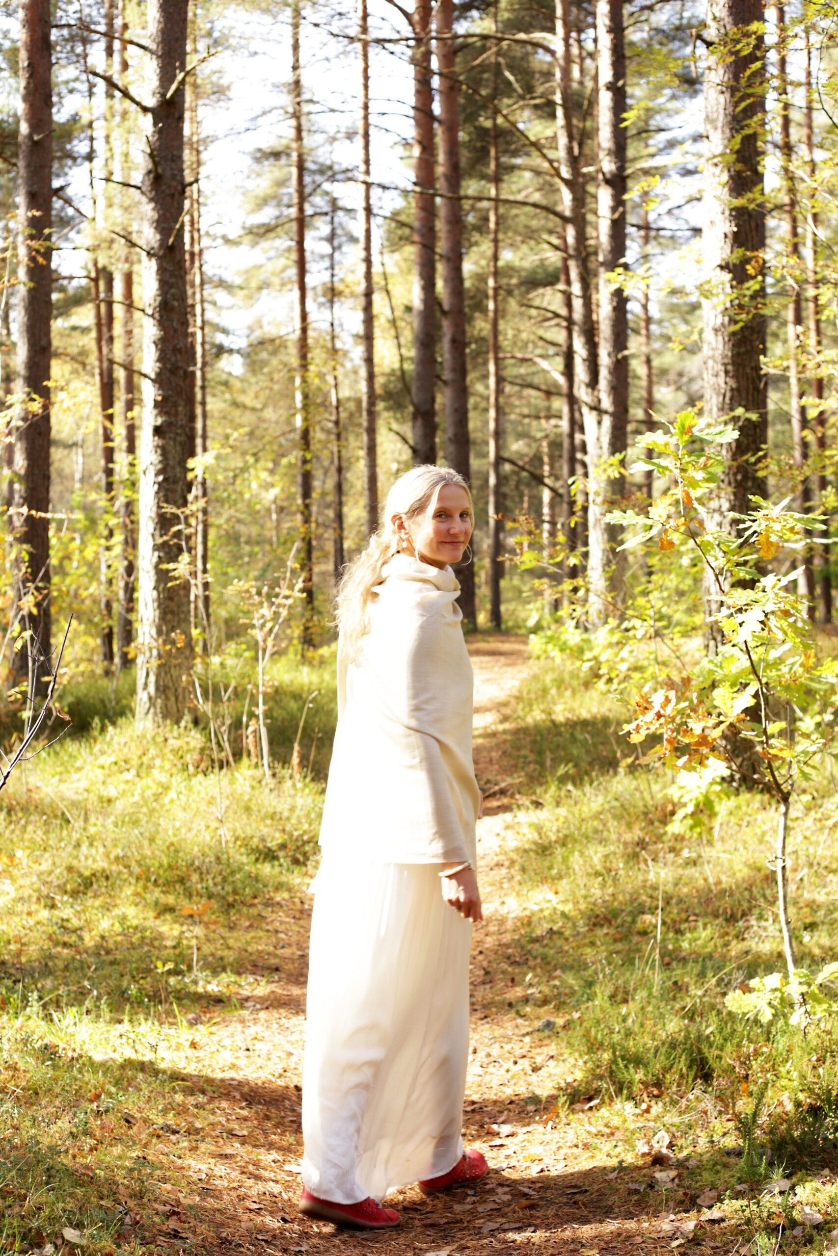 pilt 3 uuele kodulehele